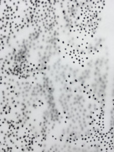 State of Loss show image: black dots on a white background