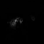 Charles_May22_23