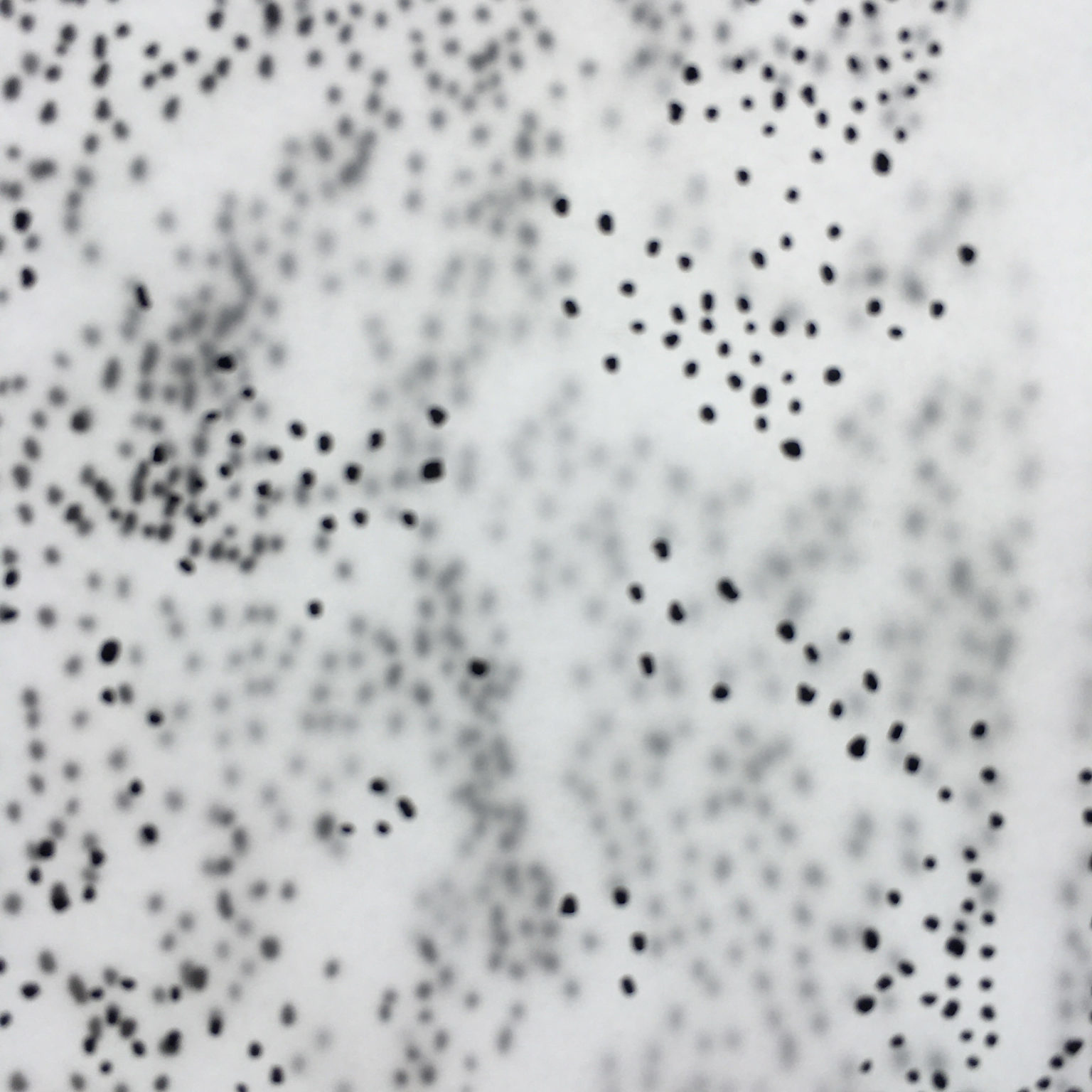 black dots on a white background